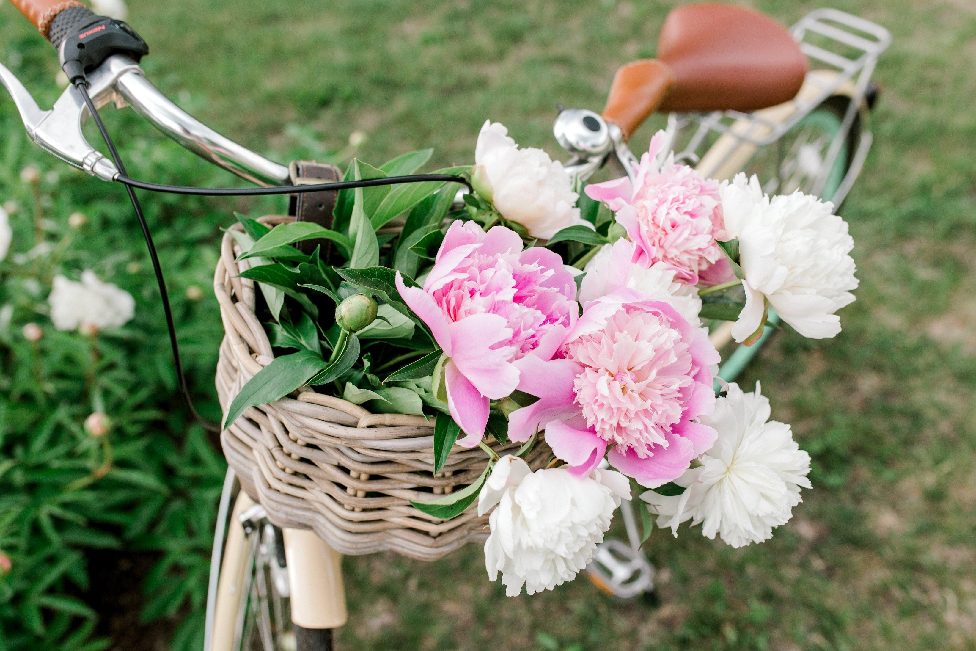 July & August - Grace & Company