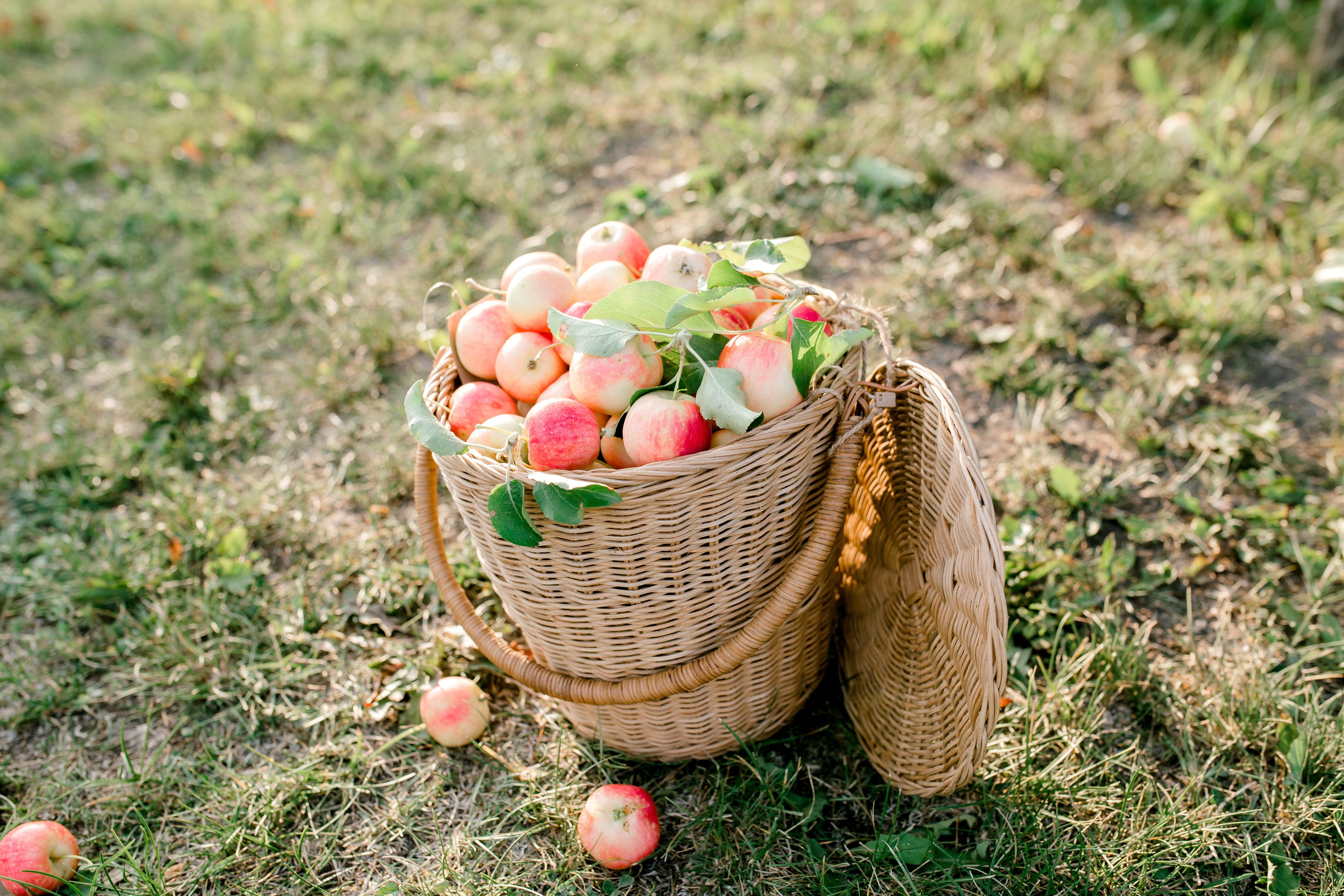 September - Grace & Company