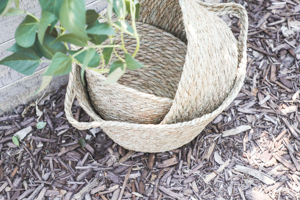 Two woven straw baskets are nested together on wood mulch next to a plant with green leaves.