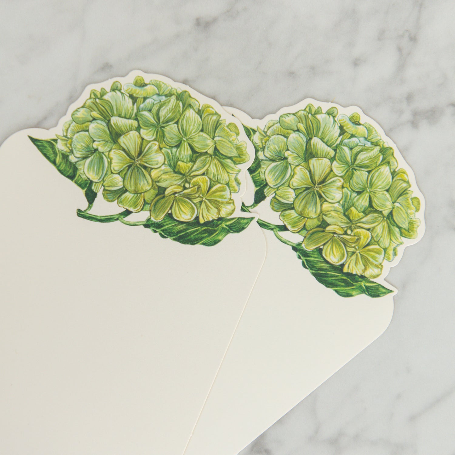 Two Hester & Cook Hydrangea Table Cards by Grace & Company on a marble surface, featuring green hydrangea art.