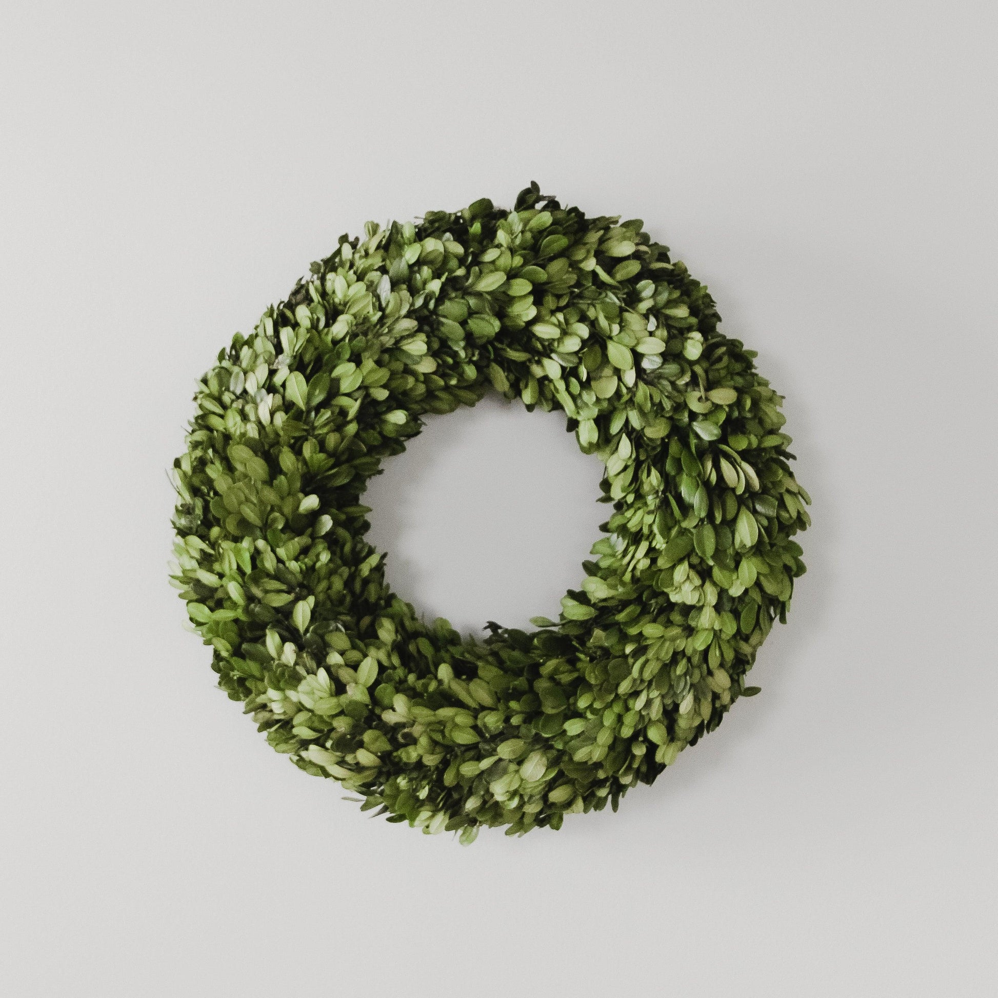 The Grace & Company ltd Boxwood Round Wreath hangs on a plain white wall.