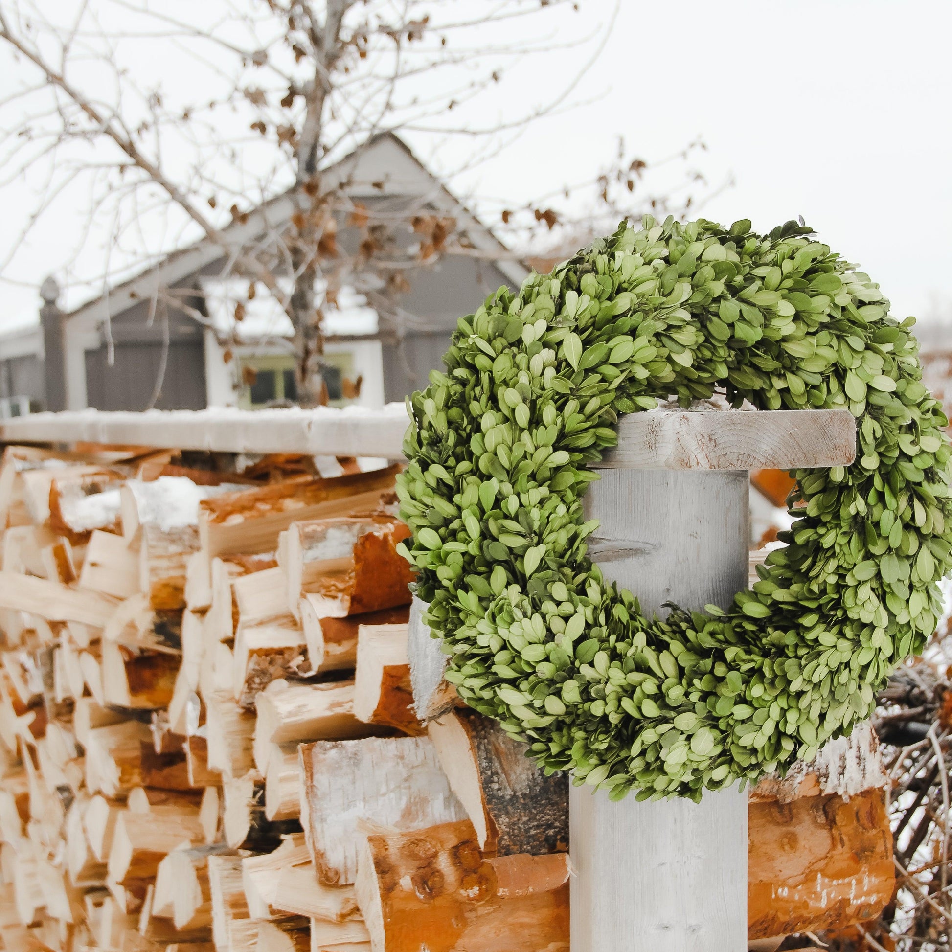 The Grace & Company ltd Boxwood Round Wreath hangs on a wooden post before stacked firewood in a wintry scene.