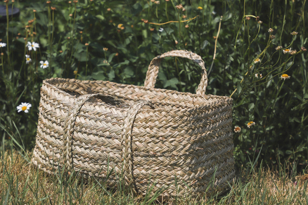 The Simple Joys of a Picnic