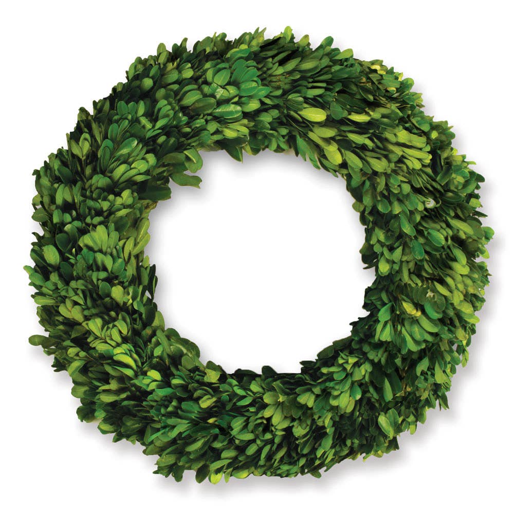 Grace & Company’s Boxwood Wreath with a White Ribbon features dense, glossy green leaves on a white background.