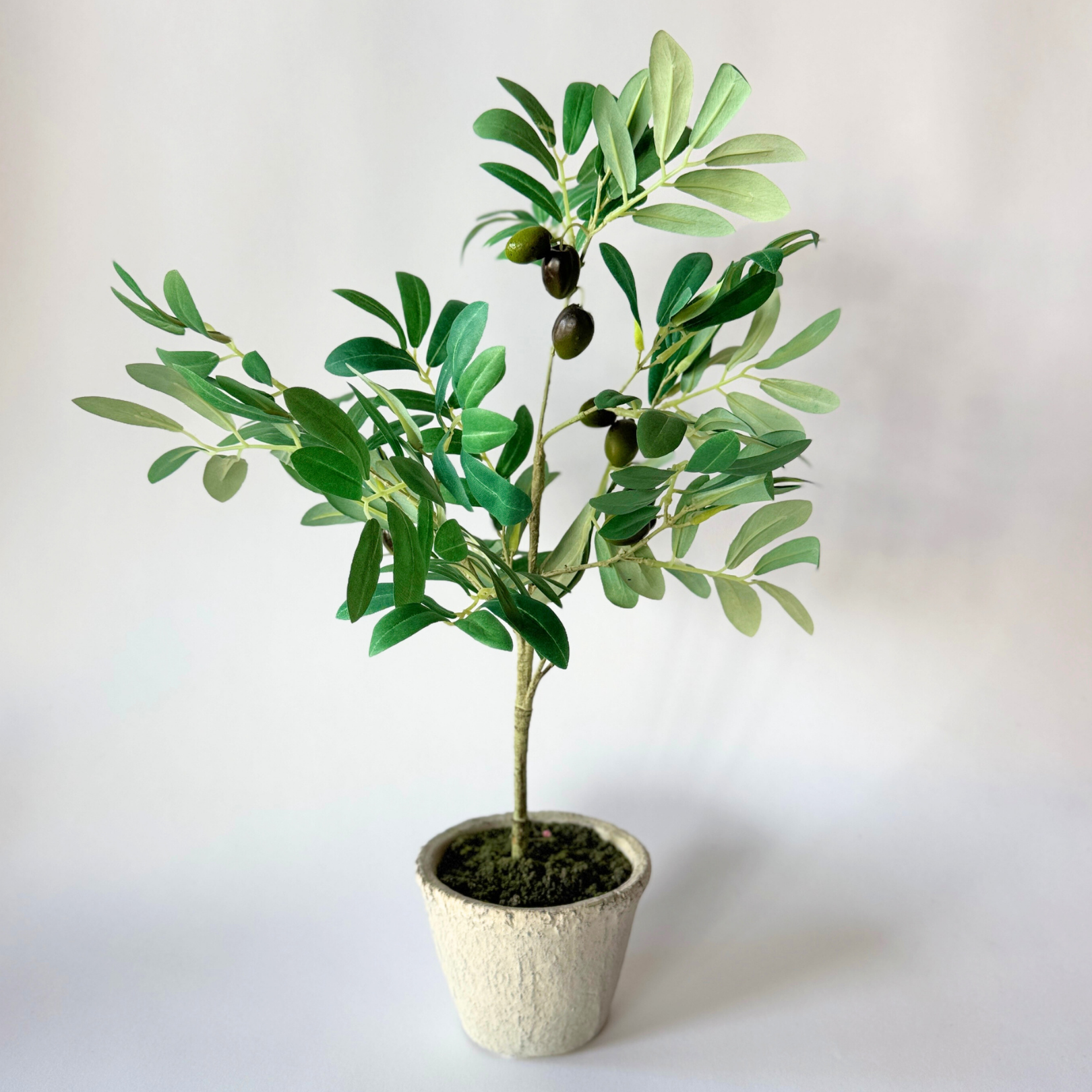 Faux Olive Tree