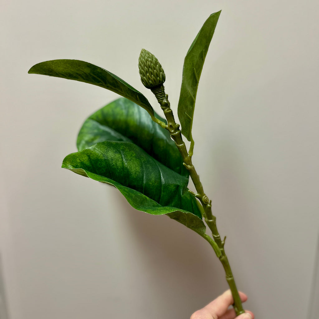 Magnolia Leaf Spray