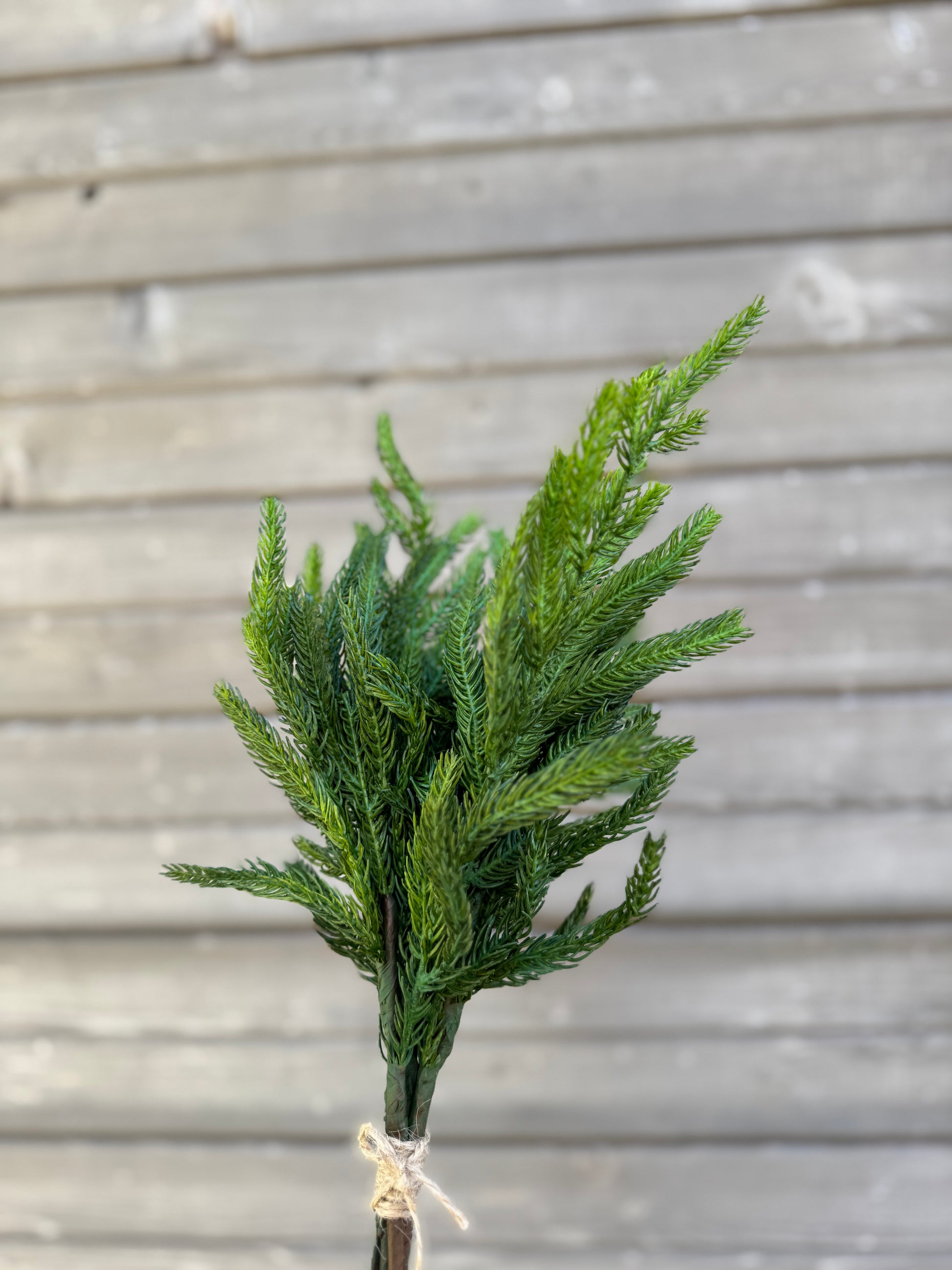 A small bundle of green pine branches tied with twine, in front of a weathered wooden wall.