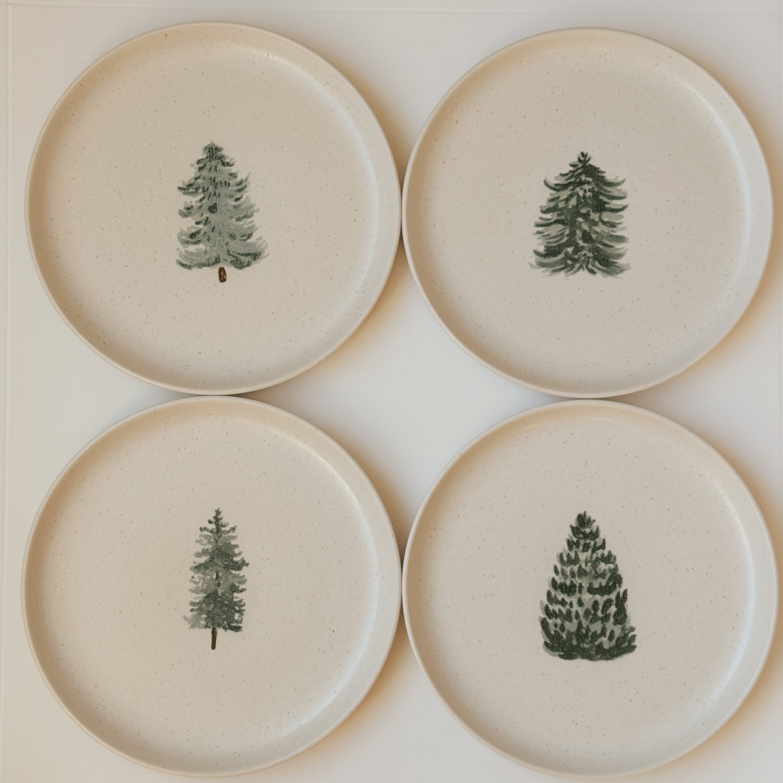 Costa Nova  Holiday Motif Salad plate set