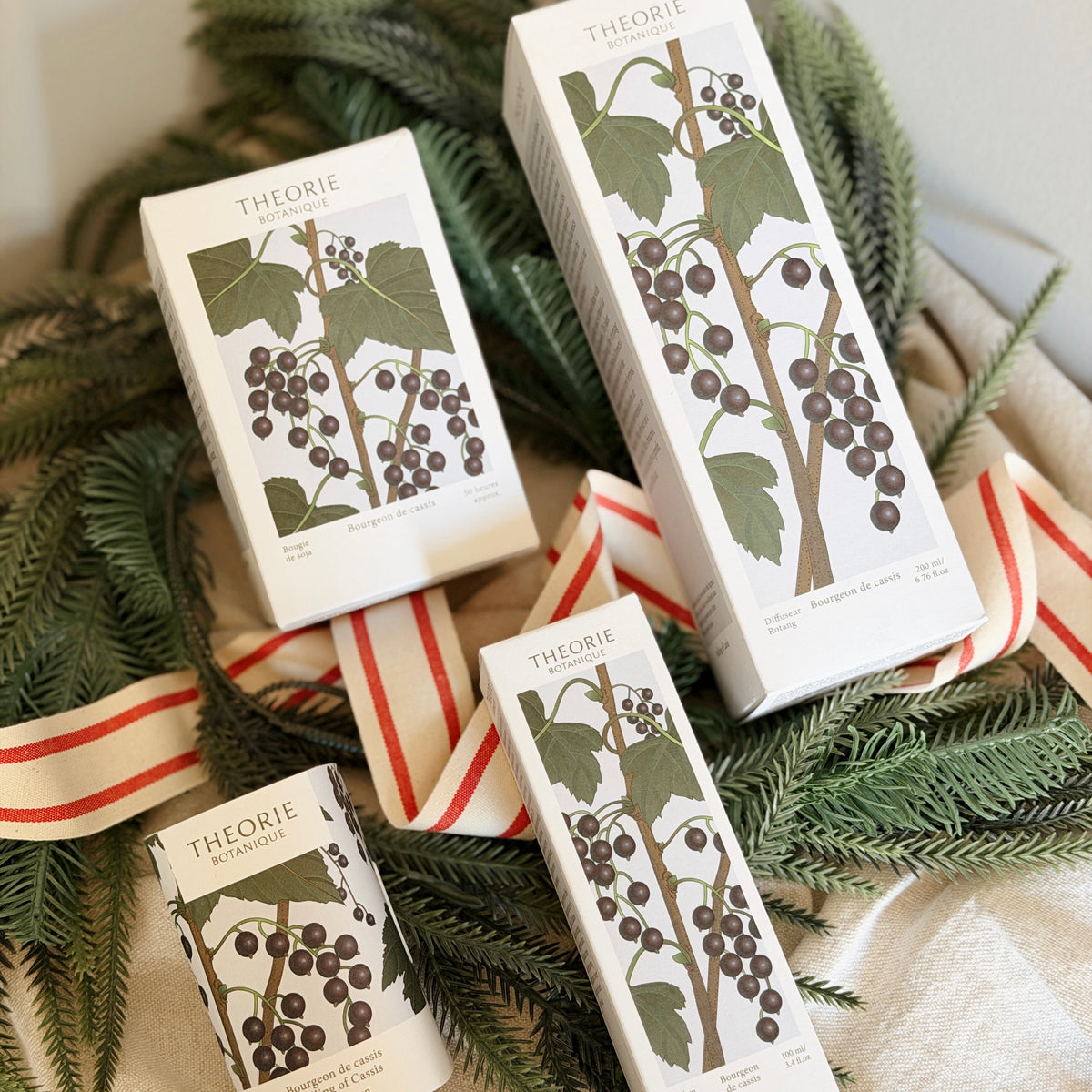 Theorie Botantique Buding of Cassis Holiday Gift Set