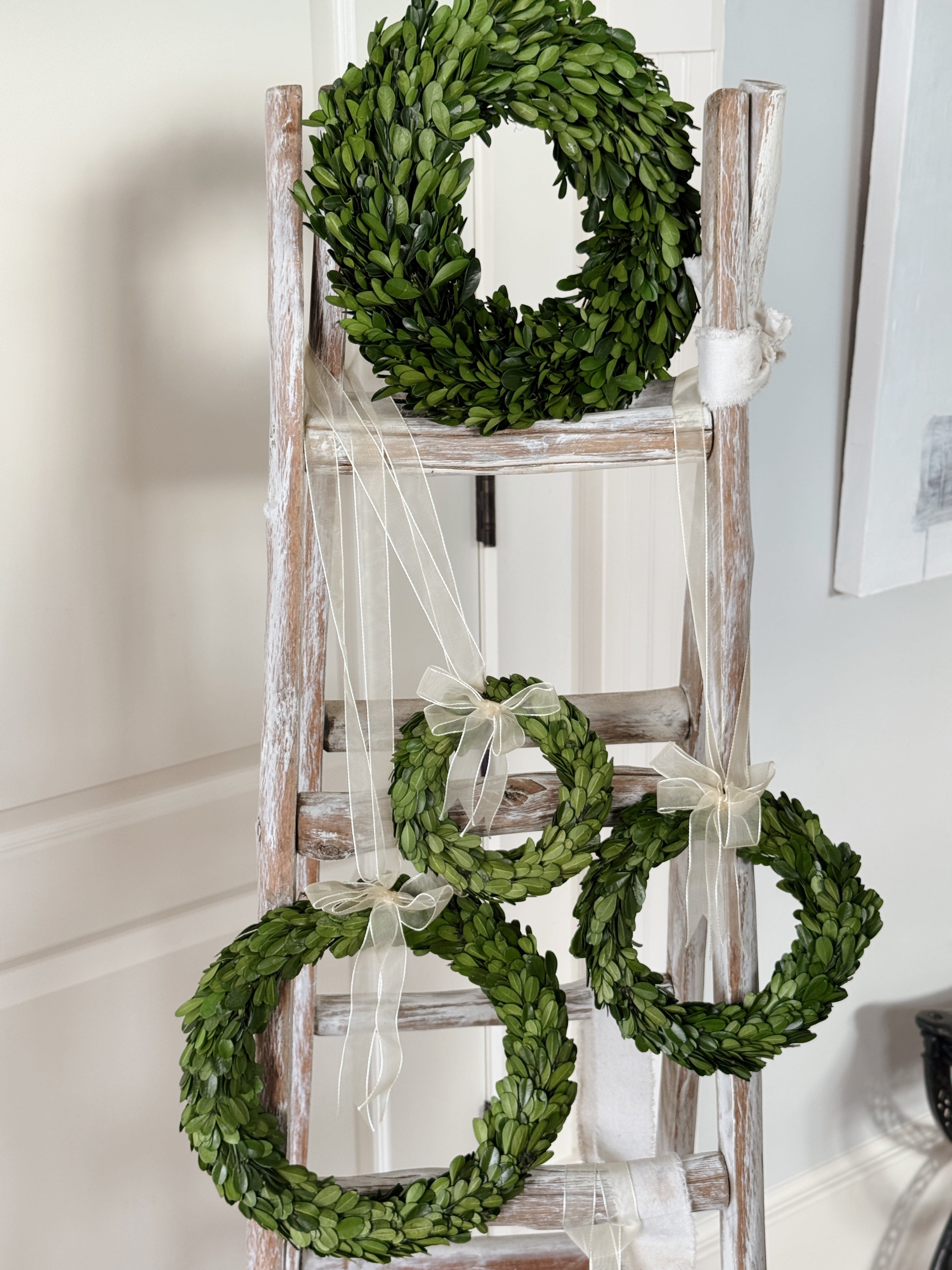 Boxwood Wreath with a White Ribbon