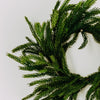 Fresh Touch Norfolk Pine  Collection