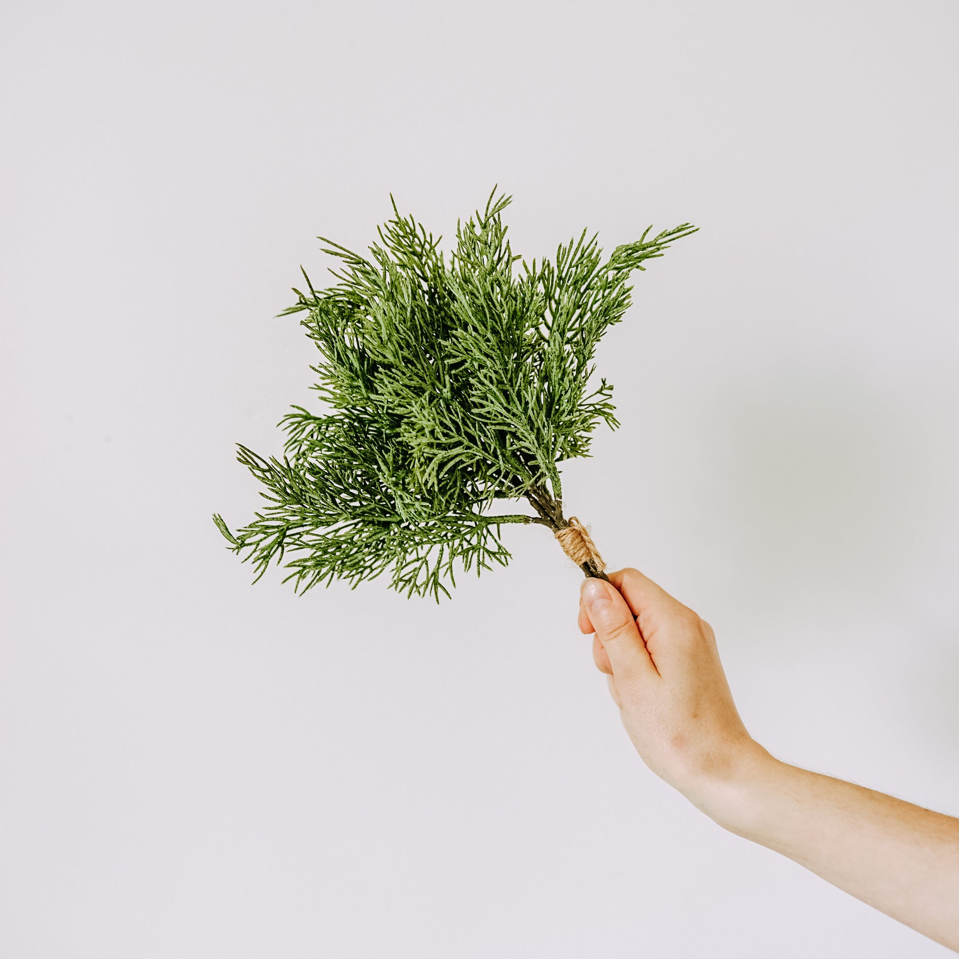 A hand holds a bundle from the Fresh Touch Norfolk Pine Collection by Grace & Company against a plain white background.