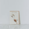 Bewilderbeet - Card Collection
