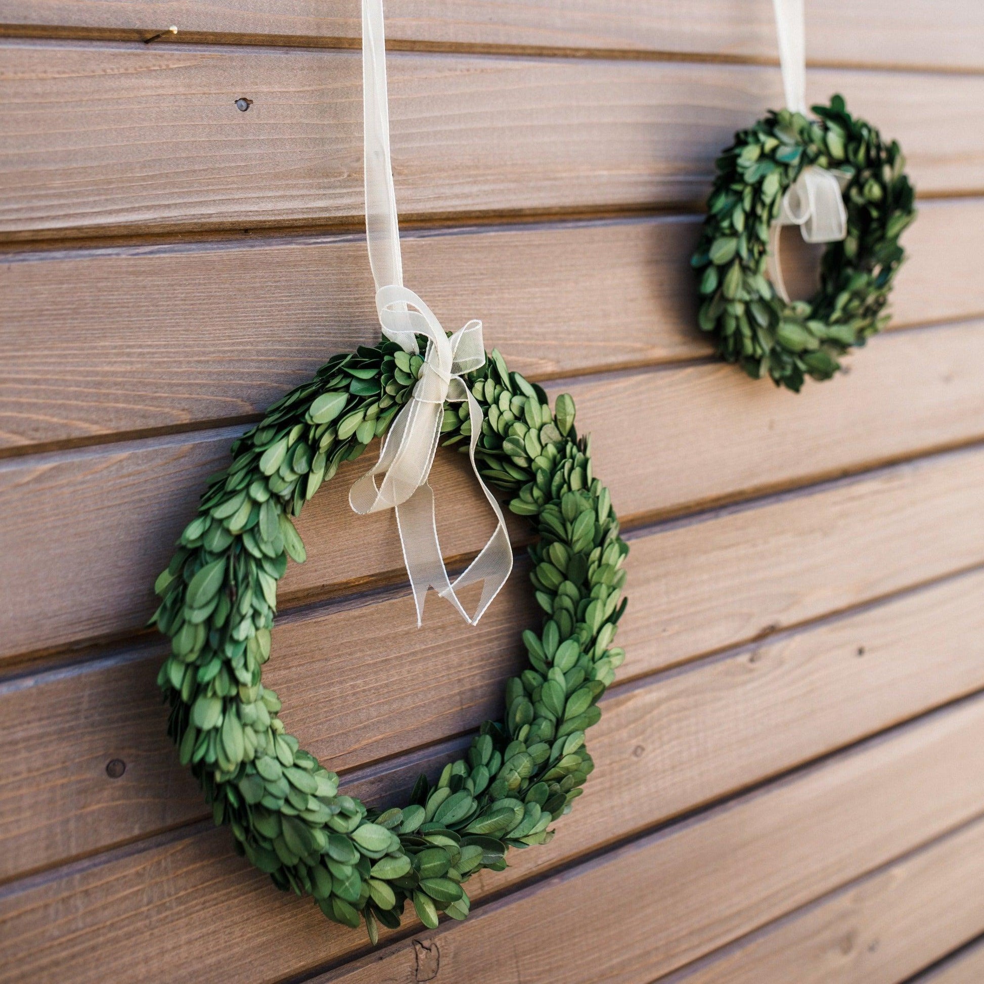 Two Boxwood Wreaths with White Ribbons by Grace & Company, one large and one small, hang on a wooden wall.