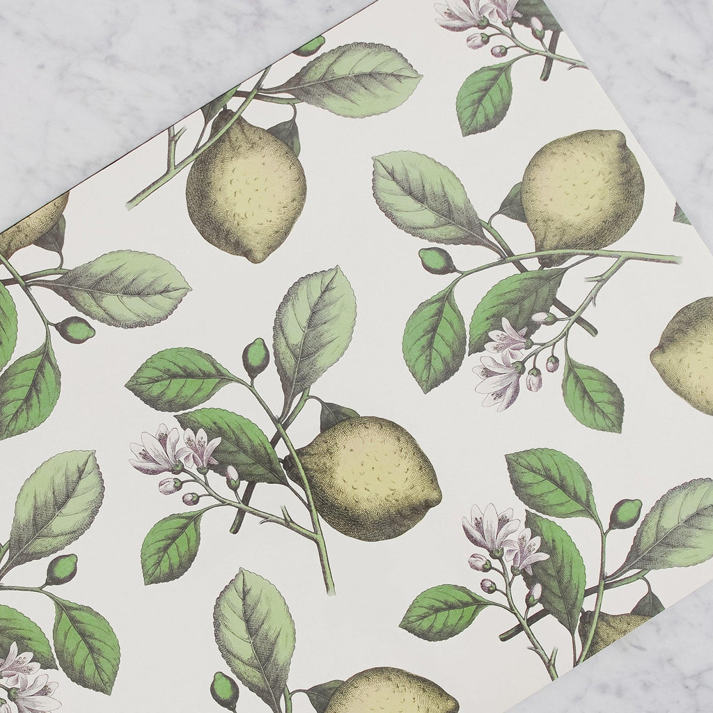 Hester & Cook - Paper Placemats with Lemons and lemon tree branches