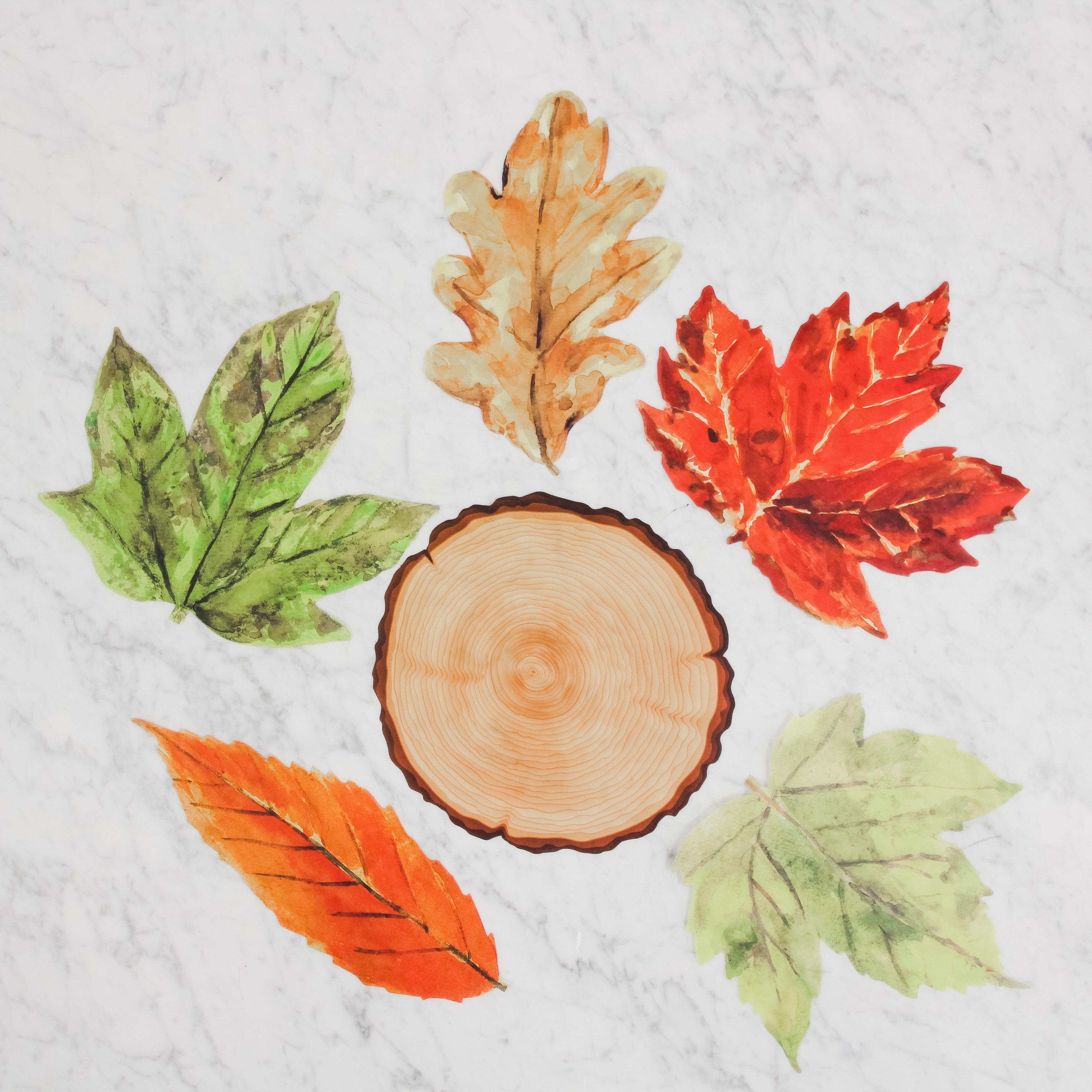 G&C Cheese Papers - The Woods by Grace & Company ltd, shown on a round wood slice with autumn leaves on white marble.