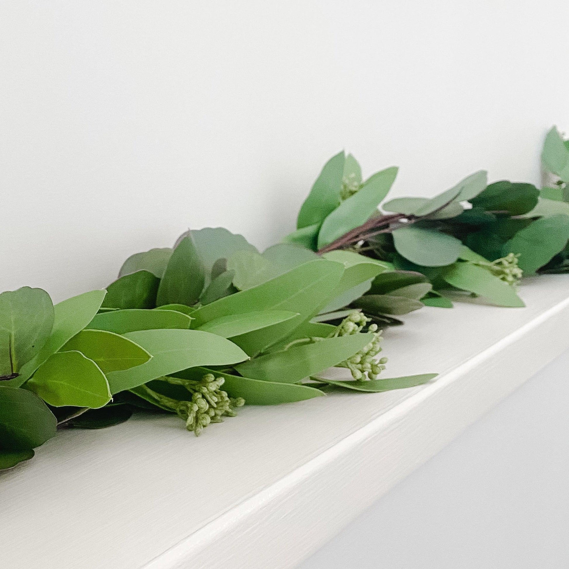 The Grace & Company Eucalyptus Garland with small buds rests on a white surface against a white wall.