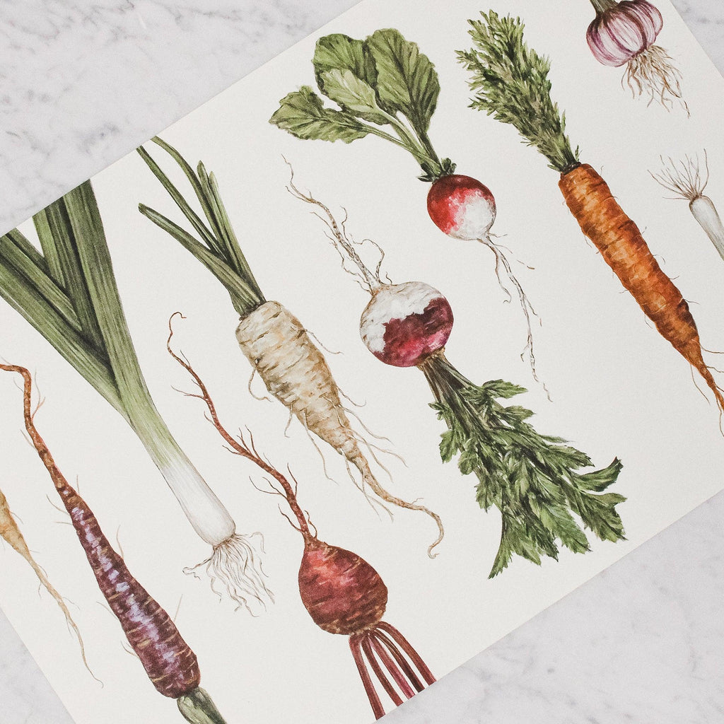 Hester & Cook - Paper Placemats with root vegetables design
