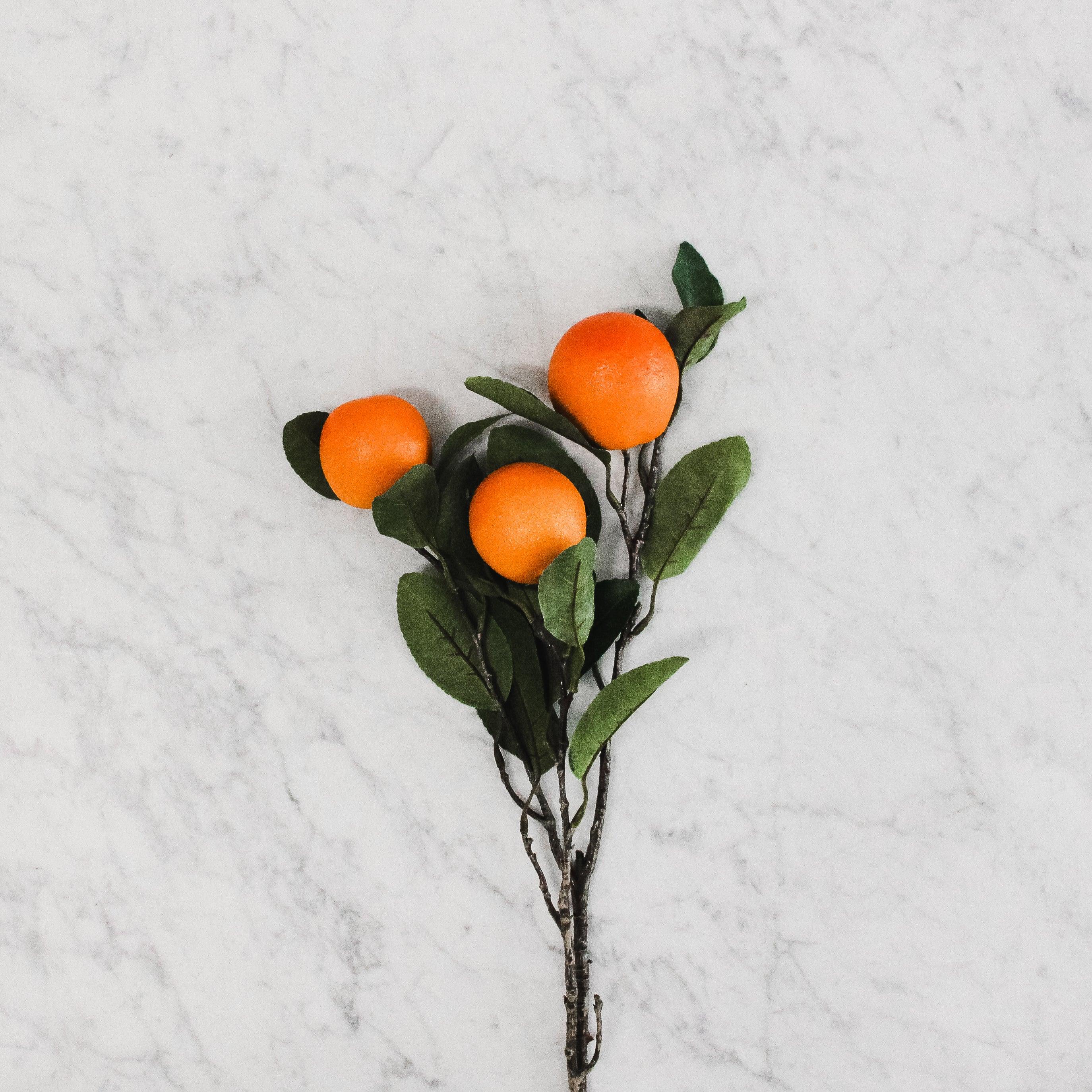 The Grace & Company Tuscan Orange Branch features three oranges with green leaves on a white marble surface.