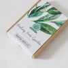 Seattle Seed Co. - Healing Herb Garden Seed Collection - Grace & Company