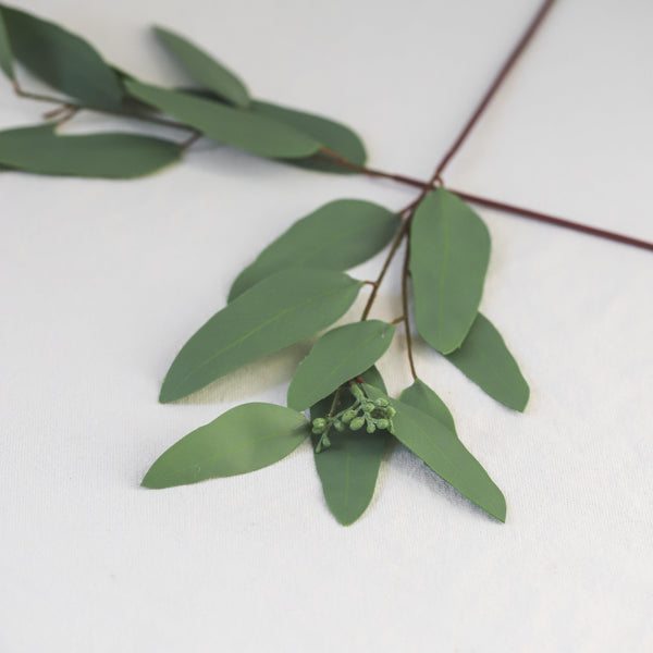 Oval Eucalyptus Stem - Grace & Company