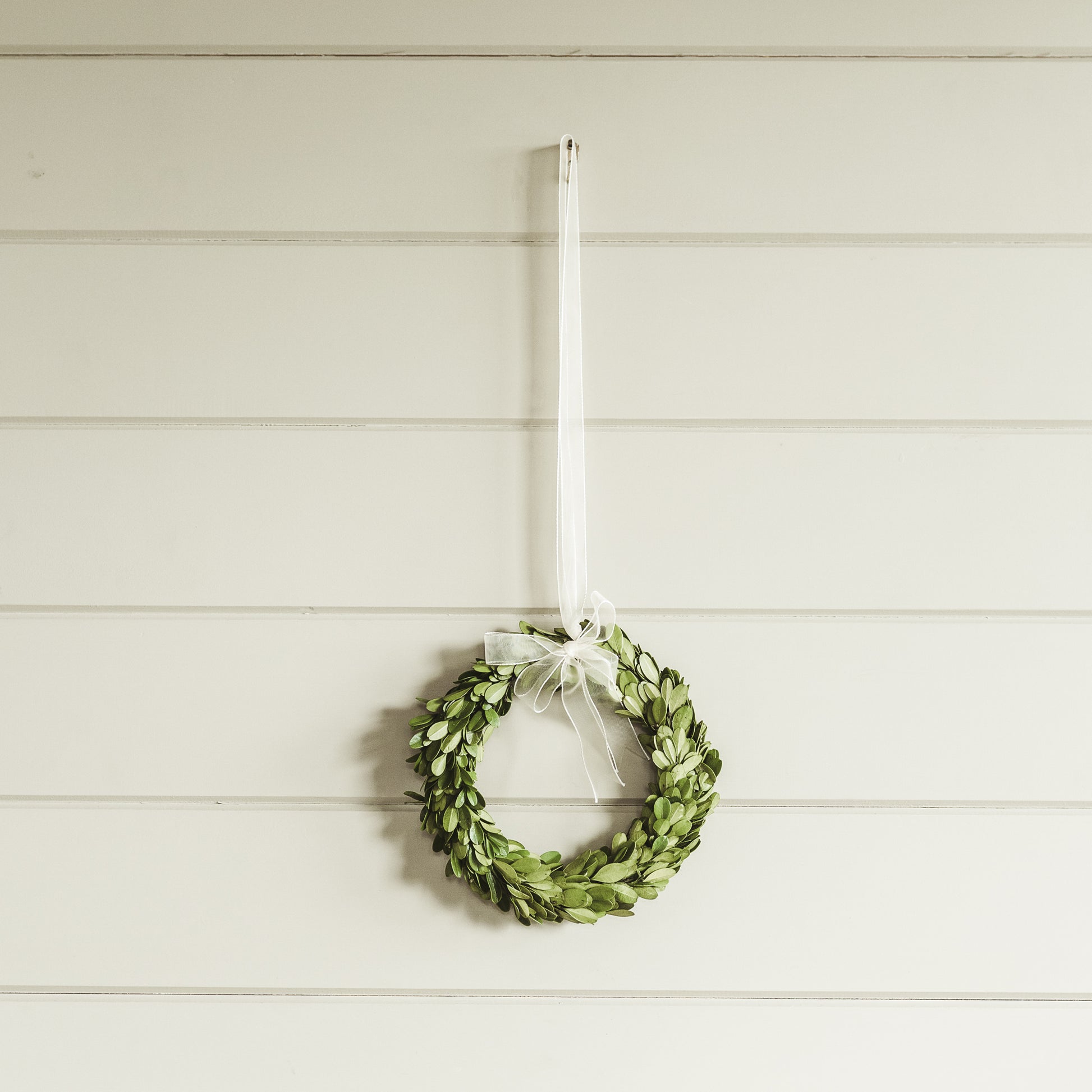 The Grace & Company Boxwood Wreath with a White Ribbon hangs on a white paneled wall.