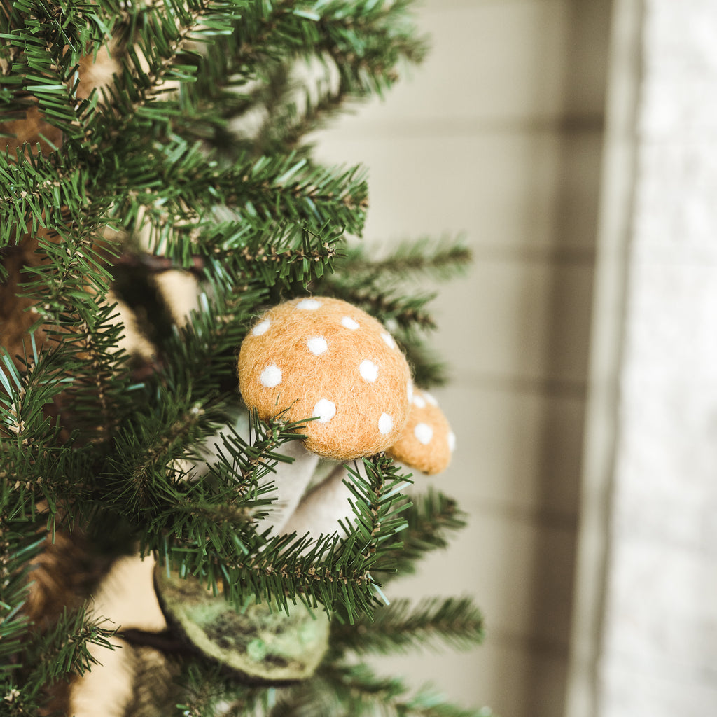 Felted Mushroom Collection